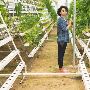 Système aéroponique NFT, système de culture hydroponique, système de culture hydroponique vertical d'intérieur, structure en A - Product Image 4