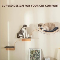 Meubles muraux pour chat de qualité supérieure sur mesure étagères en forme d'arc pour chat perchoirs avec 2 marches