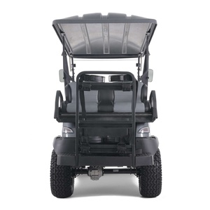 Voiturette de golf utilitaire Tao Motor 2025, nouvelle voiturette chinoise 48V à 4 roues, certifiée CEE, pour le tourisme - Product Image 6
