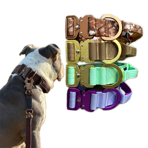 Özel Ultra hafif alüminyum taktik köpek tasması kolu ile fabrika özel orta ve büyük köpekler için ışıkları içeren - Product Image 1