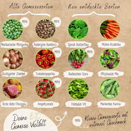 Set di erbe e verdure <span class=keywords><strong>Bio</strong></span>-organiche per vasi da fiori e fioriere ecologici da giardino e balcone inclusi - Product Image 3