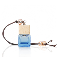 Diffuseur d'arômes de luxe pour voiture en gros, Cologne, désodorisant, parfum pour voiture, pendentif, parfum pour voiture suspendu