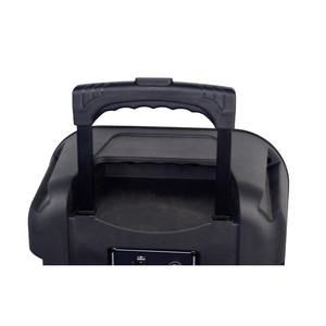 AILIPU Nuevos Productos <span class=keywords><strong>2022</strong></span> Altavoz con Ruedas de 8 Pulgadas, Placas Amplificadoras con Entrada para Guitarra y Pantalla SP-837D - Product Image 5