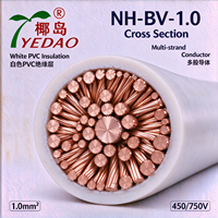 Kabel Tembaga Multi-strand NH-BV-1.0 1.0mm2 Putih Berisolasi PVC Tahan Api untuk Instalasi Listrik Bangunan
