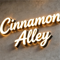 Lettres 3D LED en acrylique personnalisables - Éclairage avant/arrière, étanches IP65, options multicolores pour entreprises, hôpitaux, parcs et alimentation CC