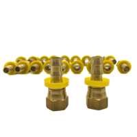 Alternative aux raccords de tuyau Push-lock Parker Production de haute qualité Fournisseur direct