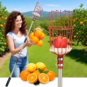 Outil de cueillette télescopique en acier galvanisé à long manche pour pommes et oranges, avec panier de récupération, cueilleur de fruits - Product Image 5