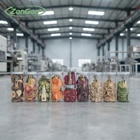 Directe Verkoop Van De Bron Fabrikant Van Grote Vacuüm Vriesdrogers Voor Aardbeien Durians Fruit Groenten Okra Pet Food