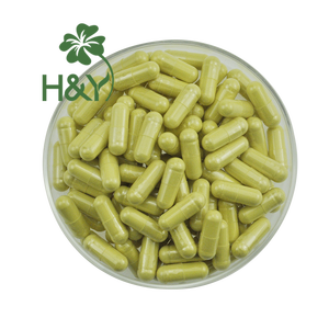 Sophora Japonica özü <span class=keywords><strong>Quercetin</strong></span> özü tozu kersetin - Product Image 4