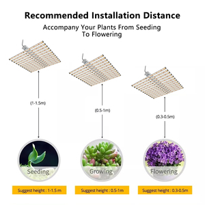 Lámpara LED de Cultivo de Espectro Completo Gavita Pro 1700e de 12 Barras, 660W, 720W, 1000W, 2000W, para Plantas, de Fábrica China <span class=keywords><strong>LUX</strong></span> - Product Image 6