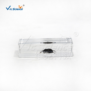 Especímen transparente de gusano del pino en plástico, muestra real de coleóptero plagasario para la enseñanza de biología CE/ISO/ROHS/CNAS - Product Image 5