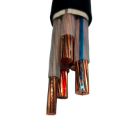 Hersteller 0,6/1kV YJV 4-adriges 25mm² XLPE-isoliertes PVC-ummanteltes Stromkabel für den Untergrund-Einbau zum Verkauf