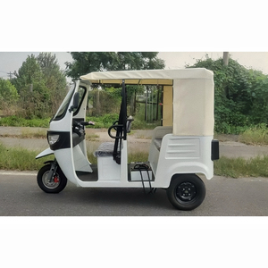Tricycle à trois roues pour adultes, tricycle électrique pour passagers, véhicule EEC pour les voyages, les excursions touristiques, les taxis à grande vitesse - Product Image 3