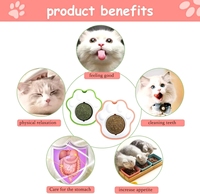 Hot verkopende avocado-pootjes design katten speelgoed, kitten vriendelijk, met kattenkruid, navulbaar, kattenlikproduct voor plezier.