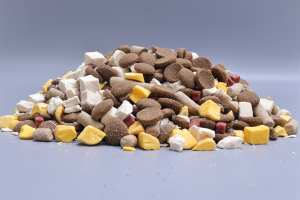 יצרני OEM/ODM מספקים ישירות מזון יבש לכלבים אורגני, עשיר בחלבון, דל פחמימות, בטעם טבעי, לבריאות העור והפרווה. - Product Image 2