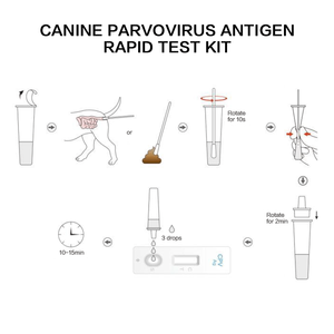 <span class=keywords><strong>Kit</strong></span> de <span class=keywords><strong>test</strong></span> rapide de santé pour animaux de compagnie portable, carte de <span class=keywords><strong>test</strong></span> rapide de 28 jours pour chiens, produits vétérinaires pour animaux de compagnie - Product Image 4