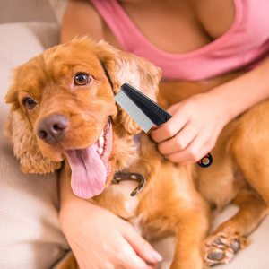 KingHon Anti <b>Flea</b> Short Dog <b>Comb</b> Stainless Steel Pet Hair Remover Brush Pet Grooming Tools <b>Cat</b> Products - Product Image 5