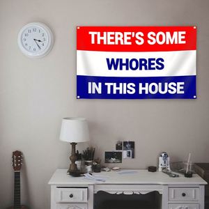 Bandera de poliéster 100D de 3x5 pies con ojales de latón de colores brillantes, diseño 'There's Some Whores in This House', para decoración exterior - Product Image 2