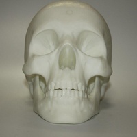 Поставки с завода, высокое качество, 3D-печать, семице, гуманоидные модели, биомедицинские