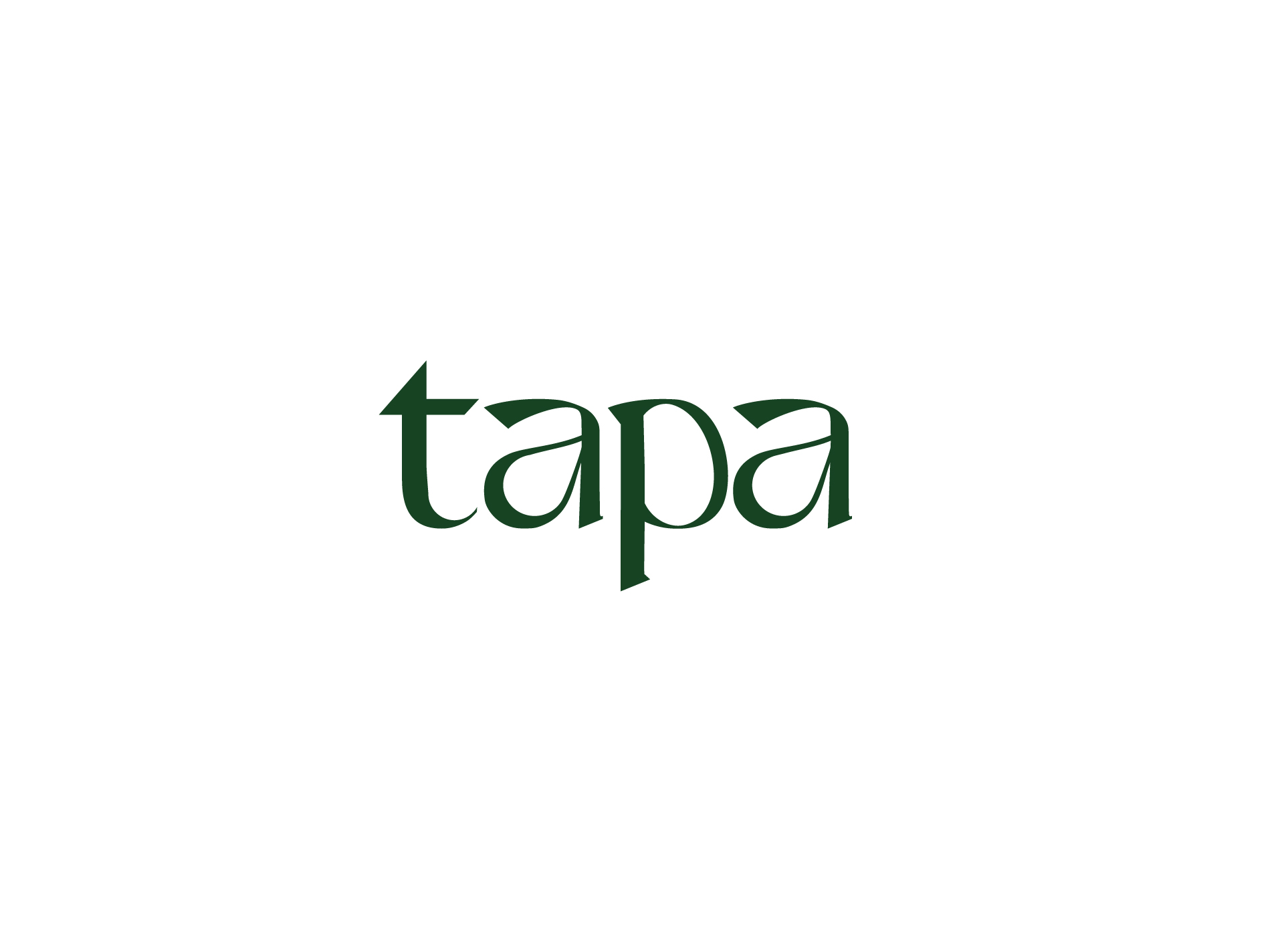 Foshan Tapa Technology Co., Ltd. logo