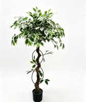 Pohon Ficus Bonsai Palsu 120cm Daun Hijau Putih Selalu Hijau Natal Paskah Rumah Kantor Ruang Tamu Ramah Lingkungan Dalam Ruangan