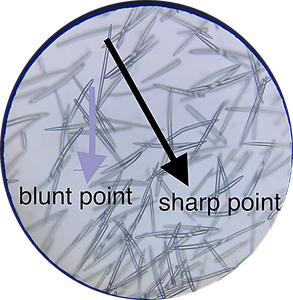 Extracto de hierbas de origen botánico, polvo exfoliante blanco salvaje, espícula ultrafina, pureza 99% para crema para el cuidado de la piel sensible - Product Image 1