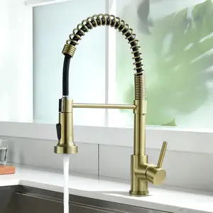 Brushed Gold Kitchen Faucet with Pull Down Sprayer RV Brass Sink Tap Stainless Steel Single Handle Spring Faucet with Deck Plate