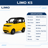 Voiture électrique compacte de luxe EEC COC chinoise, mini véhicule électrique fermé à 4 roues, véhicule à énergie nouvelle