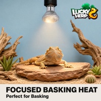 Luckyherp JX-HL50P 50W PAR20 Lampe chauffante halogène à facettes - Lumière infrarouge rouge en acrylique écologique pour le chauffage des reptiles nano