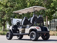 Voiturette de golf électrique 4 places de luxe haute performance avec freins à disque sur les 4 roues – Vente en gros