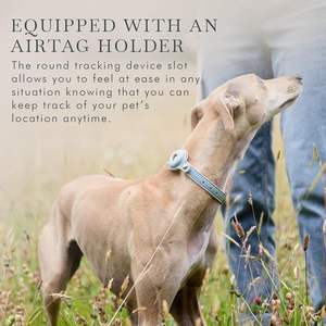 Collier pour chien personnalisé, collier pour chien Cupertino, cuir végétalien rembourré, <span class=keywords><strong>boucle</strong></span> réglable, collier en cuir pour chien avec support AirTag - Product Image 3