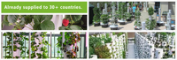 Système d'agriculture verticale hydroponique en tour à 9 couches anti-UV pour serre domestique en plastique, culture plus rapide que le sol