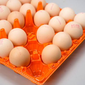 Shengyiyuan nampan telur sedang plastik 30 sel bahan PET cangkang kerang pemisah penutup Bawah mudah melepuh untuk penggunaan pertanian Supermarket - Product Image 4