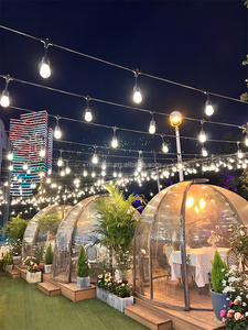 <span class=keywords><strong>48ft</strong></span> 10m IP65 impermeable Patio vacaciones jardín boda Camping decoración al aire libre S14 bombilla LED guirnalda festón Cadena de luz - Product Image 5