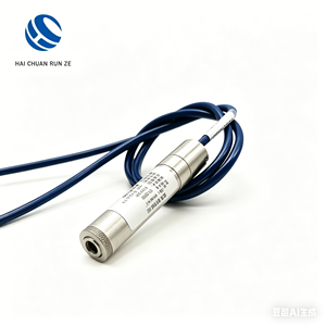 Piézomètre à fil vibrant en acier inoxydable IP68 pour la mesure de l'eau des pores du béton, des barrages, des roches, des tunnels, des pentes et des sols - Product Image 1