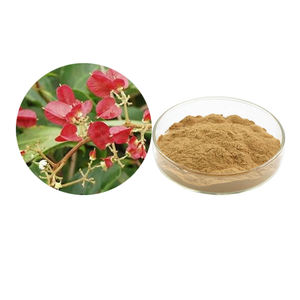 Kunmingshan Краб яблочный экстракт порошок Kunmingshan Краб apple P.E - Product Image 1