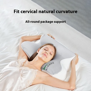 Nhà hiện đại Thiết kế qua biên giới phục hồi bướm gối 200tc Bộ nhớ bọt điền chống bụi Mite cho home & khách sạn cổ hỗ trợ - Product Image 2