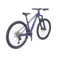 Vélo de montagne tout carbone avec frein à disque à huile, guidon entièrement dissimulé en carbone, vélo de montagne 29 pouces, cadre tout carbone, hardtail