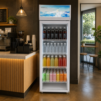 Réfrigérateur commercial moderne Kucool en acier coloré, design vertical, pour supermarché