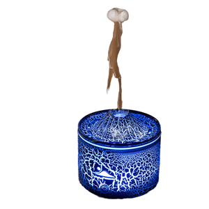 Tragbarer Plastik-Ultraschall-Luftbefeuchter mit Desinfektions- und Aromatherapiefunktion - USB-Betrieben für Auto, Hotel und Haushalt - Quallen-Vulkan-Design - Product Image 1