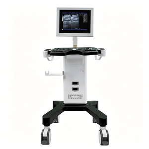 Appareil d'échographie noir et blanc de type chariot Dawei DW-350 avec écran LED de 15 pouces pour usage hospitalier humain - Product Image 1