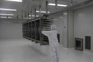 Lactobacillus Rhamnosus GG ATCC 53103 Bubuk Probiotik Potensi Tinggi Bahan Baku untuk Kesehatan Usus, Dukungan Pencernaan, dan Imunitas - Product Image 4