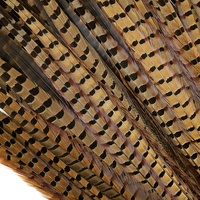 Plumes de faisan collier naturelles en gros, 10-35 cm, en vrac, pour artisanat, décoration, accessoires de fête et de costume