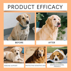 कुत्तों में ओमेगा स्किन कोट के पूरक 200 जी सैल्मन तेल धा एपा स्वस्थ त्वचा चमकदार कोट फैक्ट्री को सपोर्ट करता है - Product Image 6