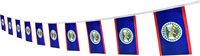 Drapeau imprimé en polyester 100% du Belize, 3x5 pieds, vente en gros, nouveau