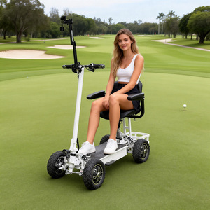 Motor Lightweight <b>Scooter</b> Patent Shock Absorption 4-Wheel Full Suspension Foldable Waterproof Lithium <b>Battery</b> E9 Golf <b>Mobility</b> S - Product Image 3