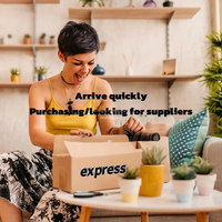 Agente de Ventas de Mercado Libre China Agente de Compras 1688 Compras en Línea Dropshipping Envío Aéreo y Marítimo LCL+Express Servicio de Sourcing