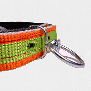 Collar para Perro Súper Mediano-Grande con Hebilla Giratoria Irrompible, Collar Resistente para Perro Pastor con Hebilla de Hierro - Product Image 5