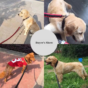 Collier et laisse pour chien ONESTEP, très vendus, pour Golden Retrievers et Labradors, adaptés aux races moyennes à grandes - Product Image 4