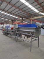 Lavadora de corrientes de Foucault Berry Eddy para fresas, frambuesas y arándanos, equipo para líneas de producción y procesamiento de frutas
